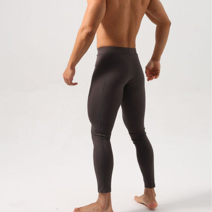 Lion Sports Tights